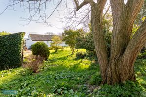 Garden- click for photo gallery